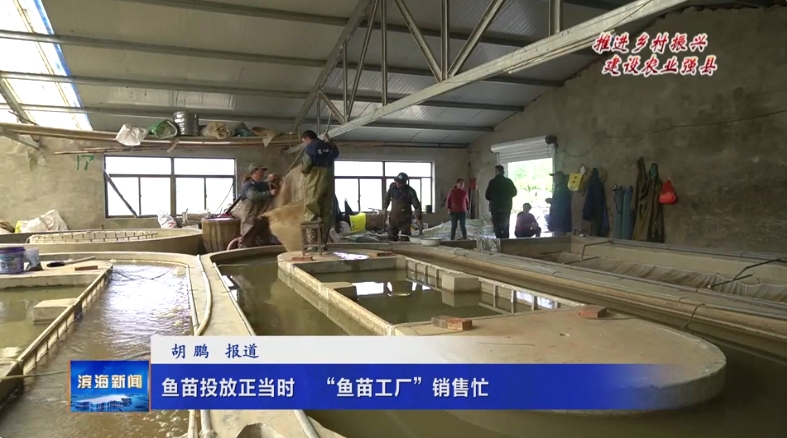 【推進(jìn)鄉(xiāng)村振興?建設(shè)農(nóng)業(yè)強(qiáng)縣】魚苗投放正當(dāng)