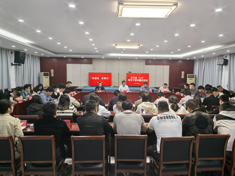 青春扬正气 清廉伴我行——五汛镇青年干部廉洁教育活动侧记