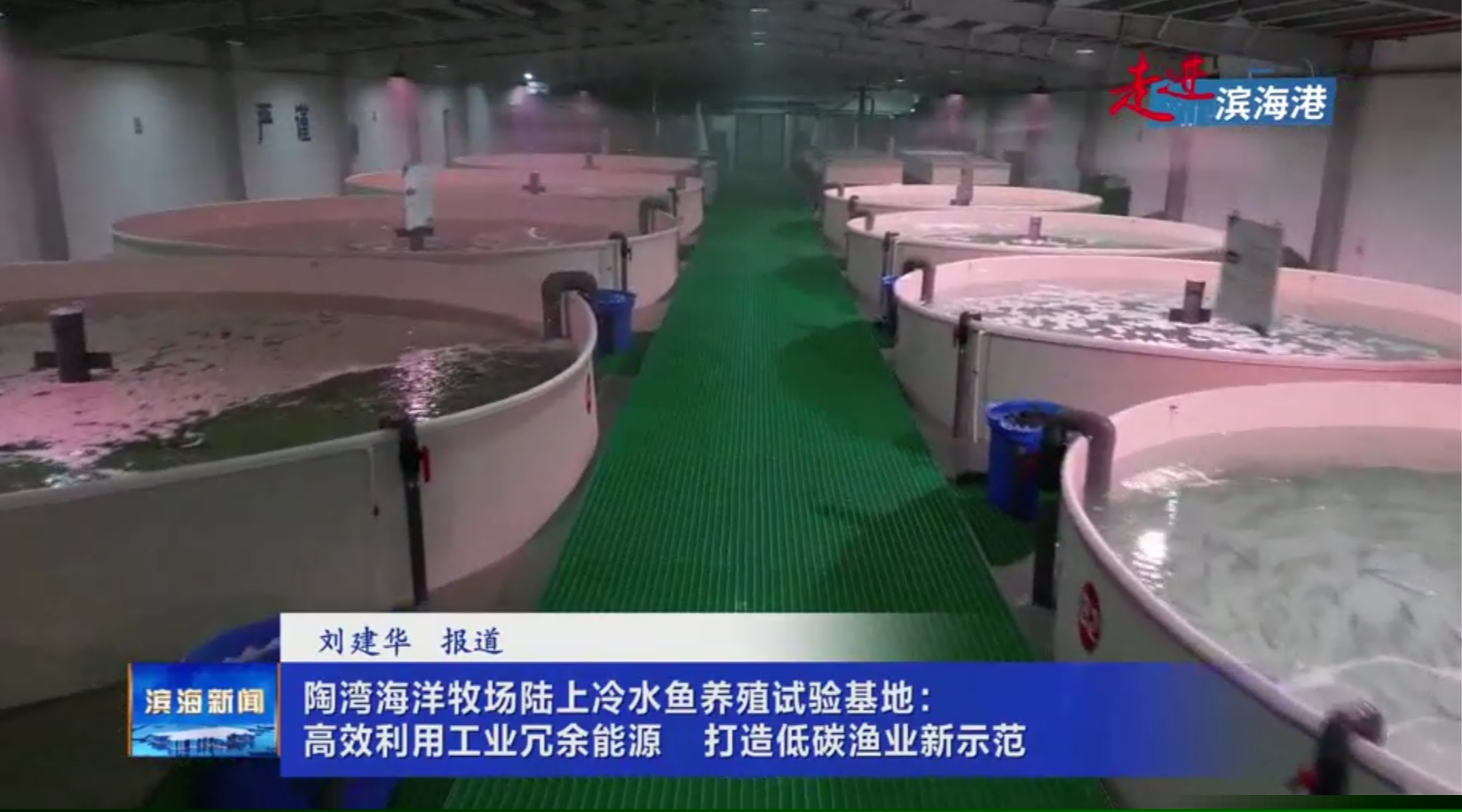 【走進濱海港】陶灣海洋牧場陸上冷水魚養(yǎng)殖試