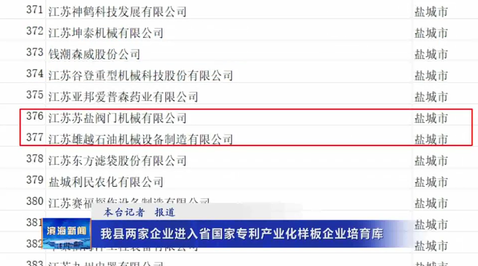 我縣兩家企業(yè)入選省國家專利產(chǎn)業(yè)化樣板企業(yè)培