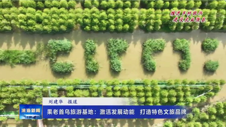 【推進鄉(xiāng)村振興建設農業(yè)強縣】果老首烏旅游基