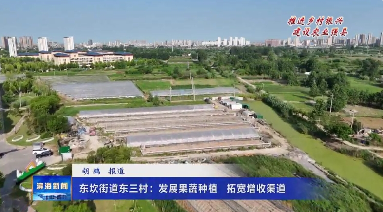 【推進(jìn)鄉(xiāng)村振興建設(shè)農(nóng)業(yè)強(qiáng)縣】東坎街道東三村