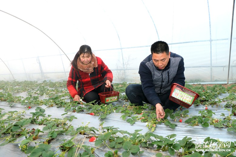 界牌鎮(zhèn)竹林水果種植家庭農(nóng)場