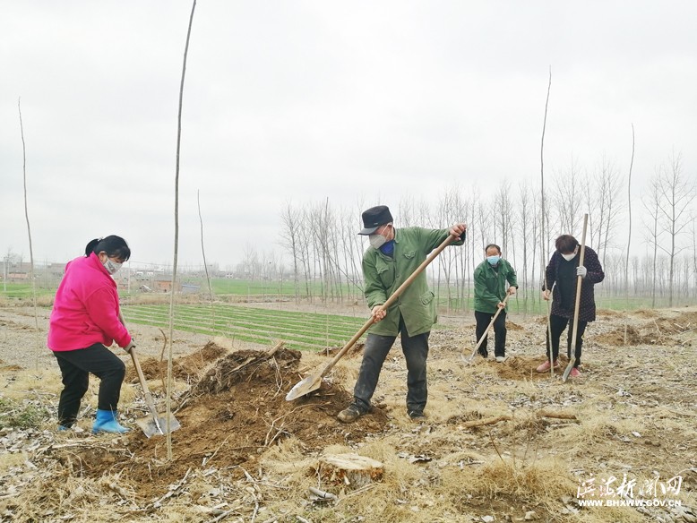 各鎮(zhèn)（區(qū)、街道）掀起植樹(shù)綠化熱潮