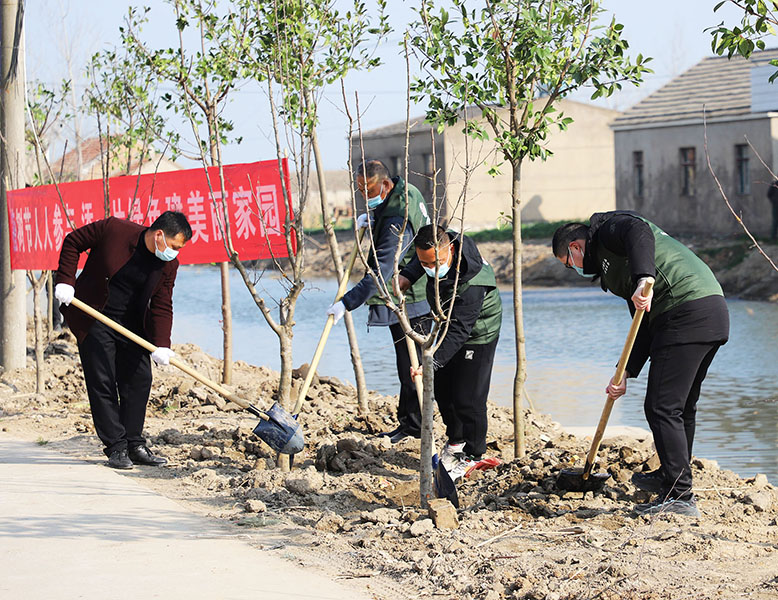 五汛鎮(zhèn)植樹造林現(xiàn)場(chǎng)