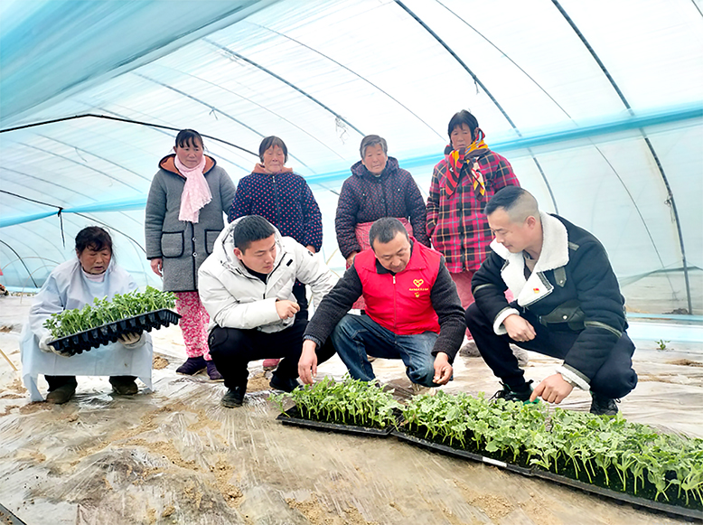 坎北街道新時代文明實踐所深入田間地頭