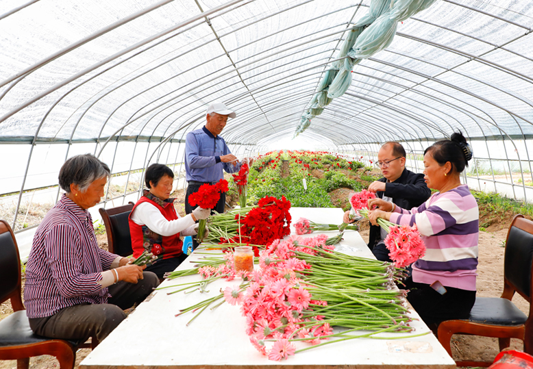 東坎街道三烈村鮮切花生產(chǎn)基地